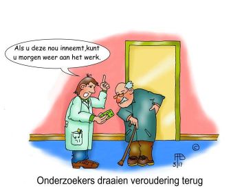 13 3 2017 onderzoekers draaien veroudering terug